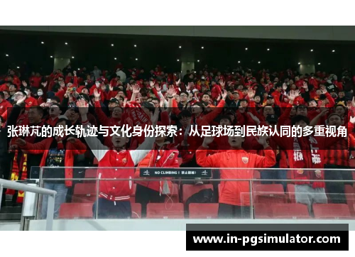 张琳芃的成长轨迹与文化身份探索：从足球场到民族认同的多重视角
