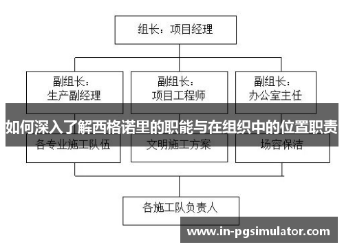 如何深入了解西格诺里的职能与在组织中的位置职责