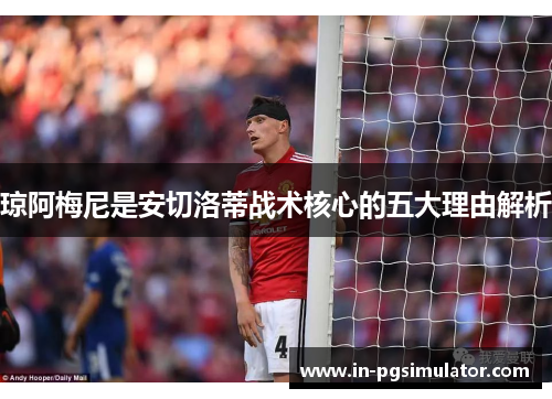 琼阿梅尼是安切洛蒂战术核心的五大理由解析