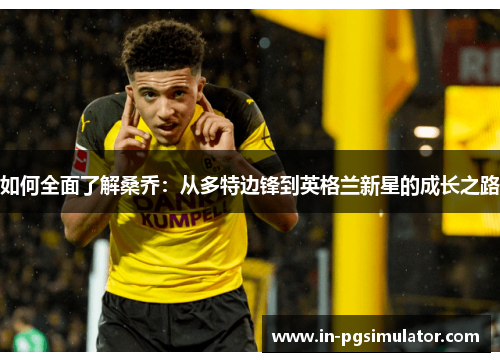 如何全面了解桑乔：从多特边锋到英格兰新星的成长之路