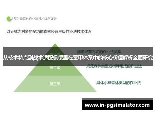 从技术特点到战术适配佩德里在意甲体系中的核心价值解析全面研究